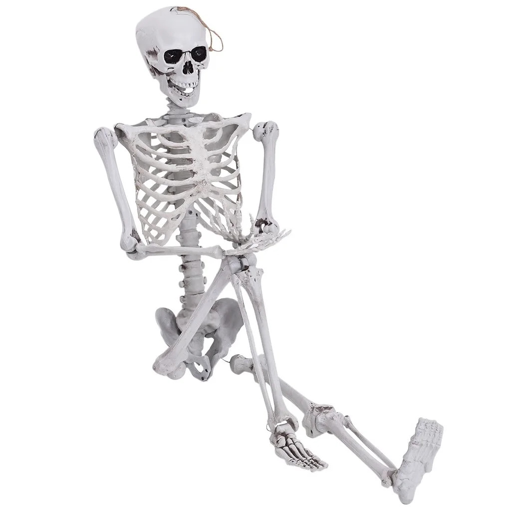 65 Inches Halloween Skeleton Decoration Large Full Body Halloween Skeleton Home Outdoor Garden Or... | Walmart (US)