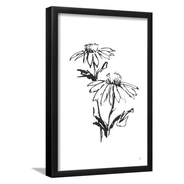 Line Echinacea II, Black Framed Giclee Print Wall Art by Chris Paschke, 13x19 | Walmart (US)