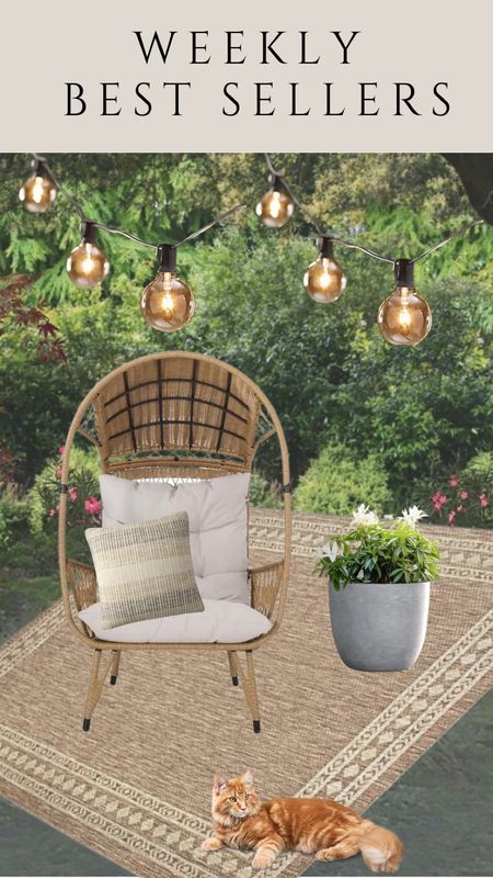 Chairs under twinkling lights – the perfect patio ambiance! 💫🪑 #OutdoorLiving #LightingMagic #PatioChill @wayfair


#LTKsalealert #LTKfindsunder50 #LTKhome