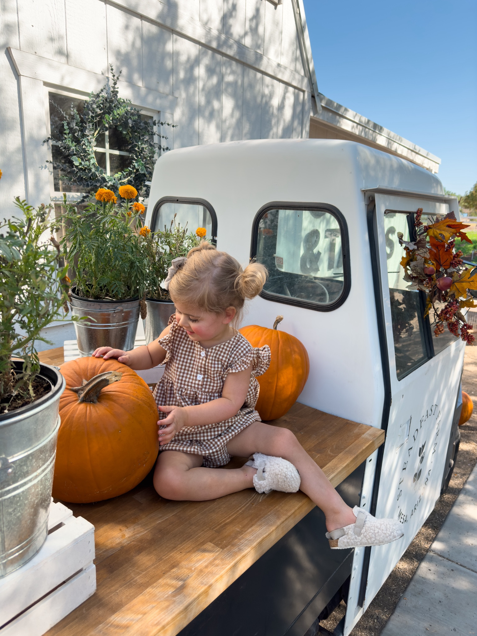 Tiegan’s cute little fit for our trip to the coffee store! 🤎 

#LTKKids