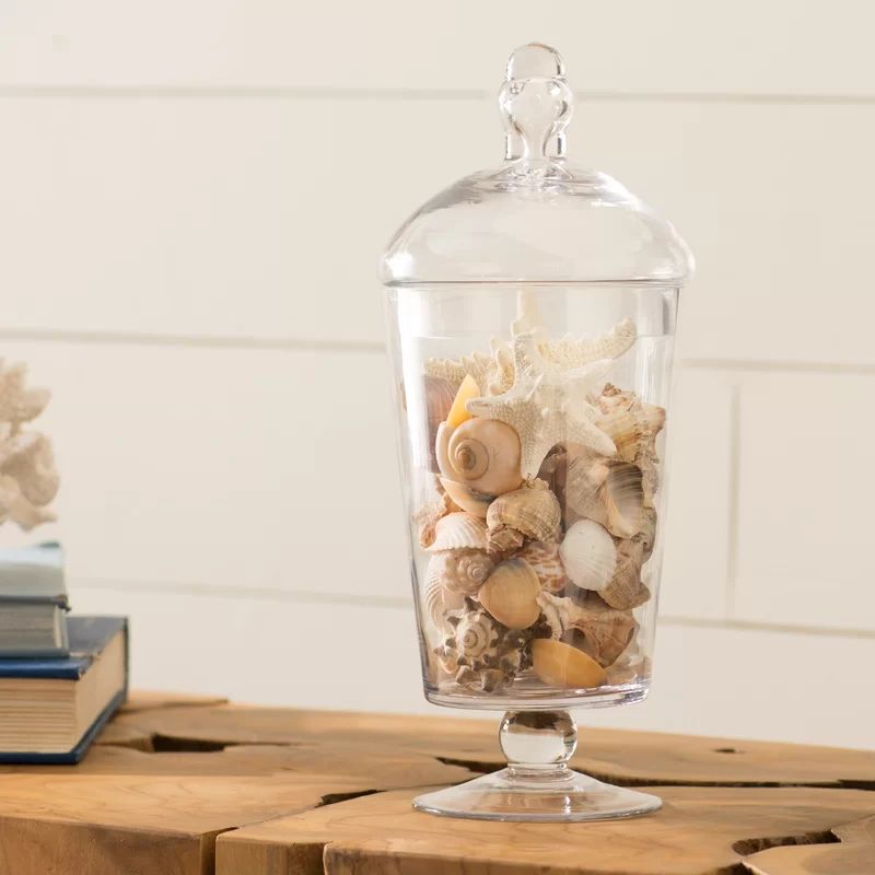Beachcrest Home Cylindrical Handblown Glass Apothecary Jar | Wayfair North America