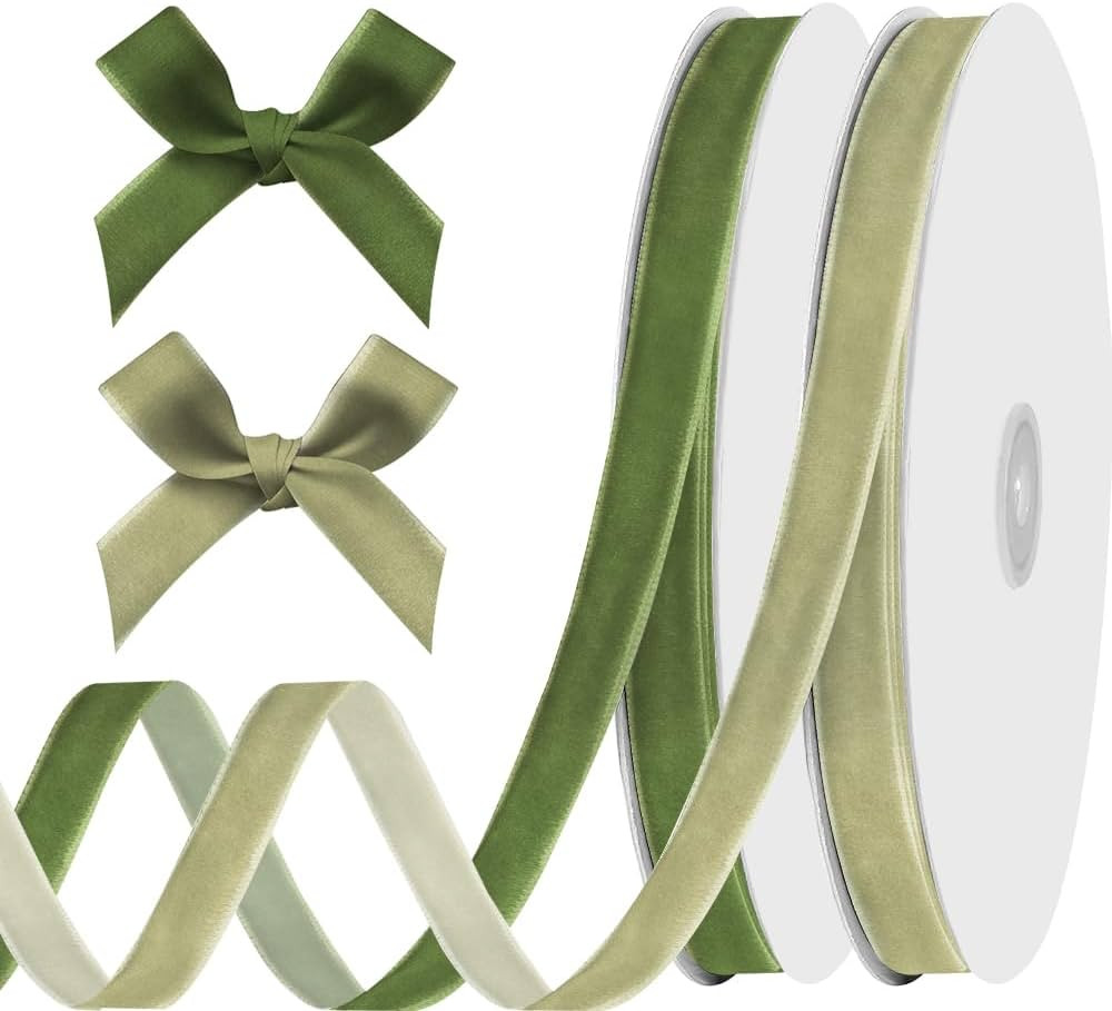 ALIBBON 2 Rolls 3/8 Inch x 20 Yd Green Velvet Ribbon Dark Green Light Green Assorted Thin Ribbon ... | Amazon (US)