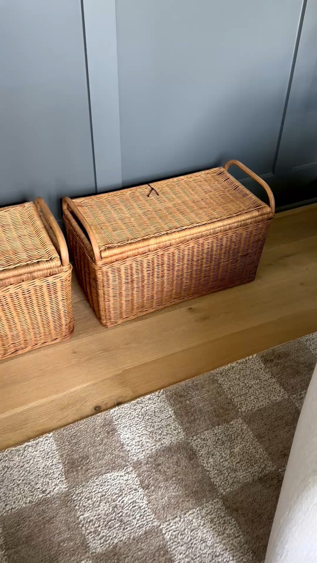 Great storage idea! Pretty and sturdy basket @Target

#LTKHome #LTKstorytime #LTKdayinmylife