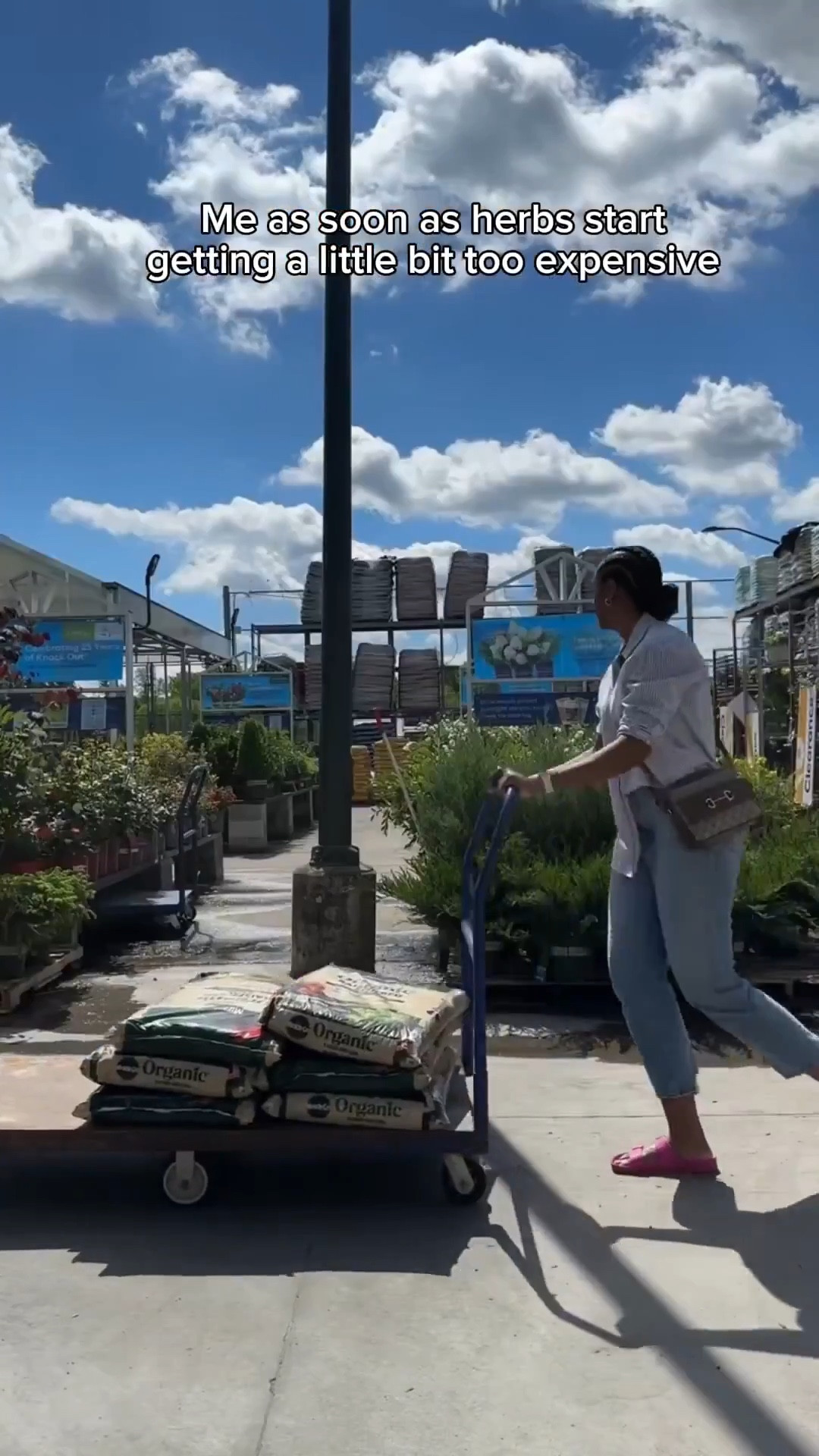 Starting my first garden and fully embracing my “research everything online” stage. Curious if fruits, veggies, and herbs can grow together? We’re about to find out. This raised garden bed makes it achievable even in small spaces, and with herb prices skyrocketing, it just made sense. Come see the garden glow-up—link here ✨

Follow my LTK @Asiliglamcooks to shop this post and get my exclusive app-only content.

Raised garden bed, beginner gardening, first garden, patio garden, growing herbs, small space gardening, garden era, amazon outdoor finds, ltk home

#LTKdayinmylife #LTKmomlife #LTKHome