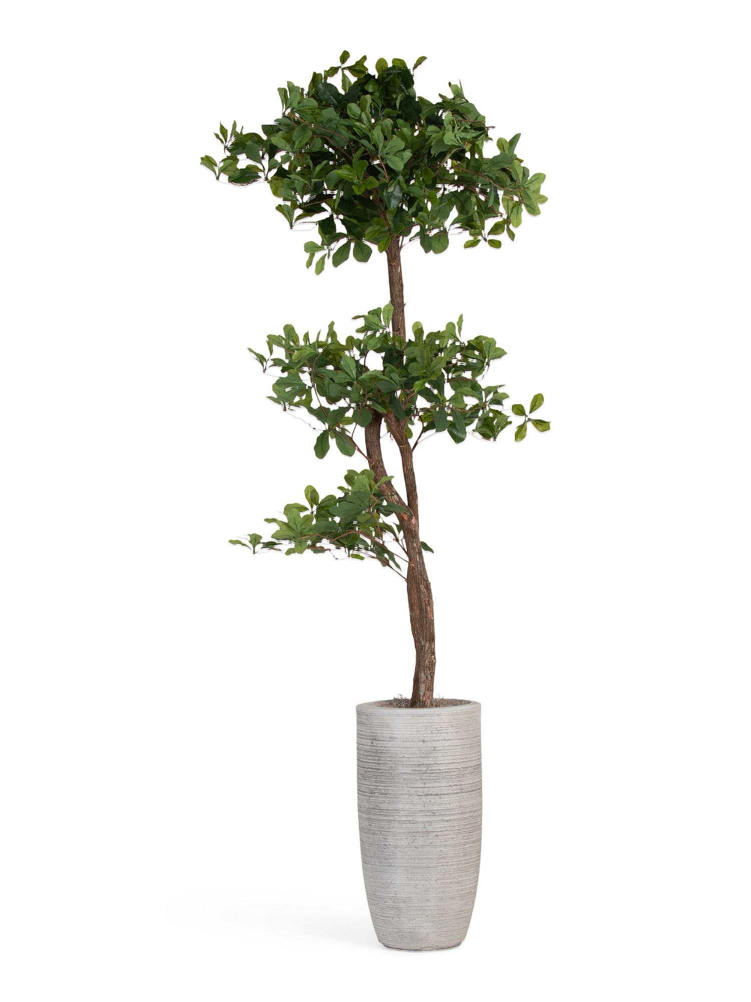 6ft Faux Olive Tree With Real Bark Covered Trunk | Home Essentials | Marshalls | Marshalls