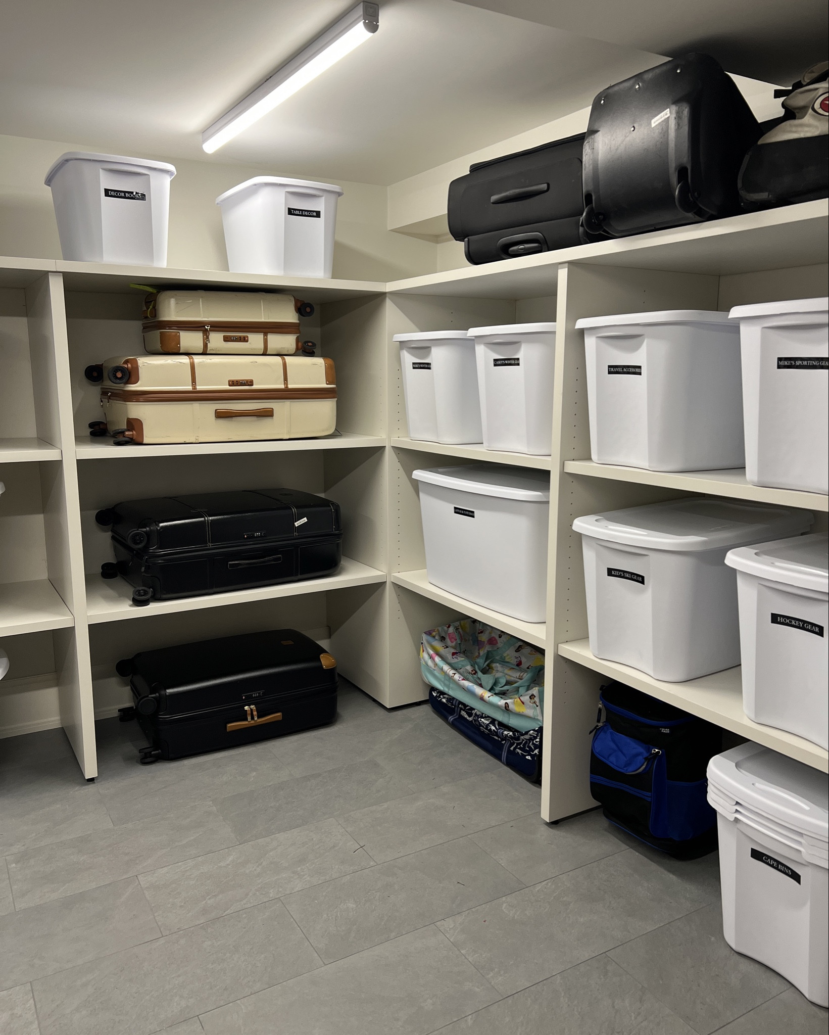 Basement Organization Storage Bins 🔗🔗✨
Links to suitcases and label makers 🤍

#LTKhome #LTKfindsunder100 #LTKfindsunder50