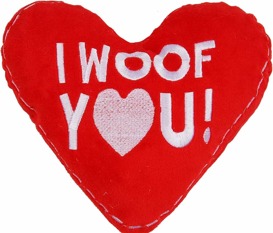 BoomBone Valentines Squeaky Dog Toy, Heart Dog Toy Perfect for Puppy Small Medium Pets Dogs | Amazon (US)