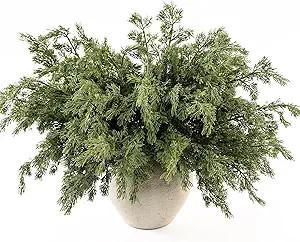 MISSPIN 12 Pcs 21.5 Inches Christmas Cedar Branches, Cedar Artificial Christmas Branches DIY Craf... | Amazon (US)