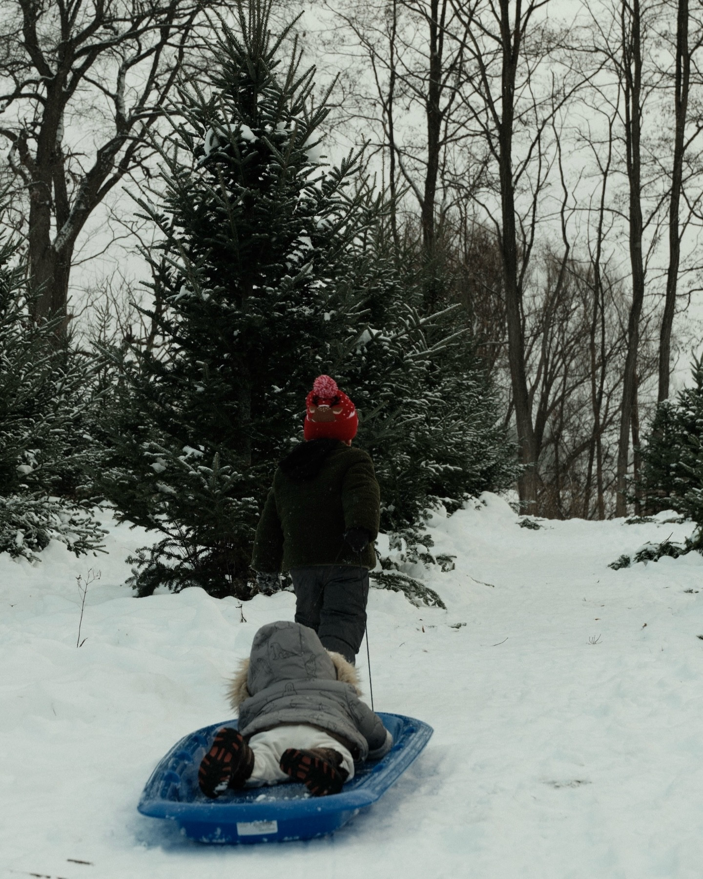 my favourite christmas tradition 🌲🤍

#LTKcanada #LTKkids #LTKwinter