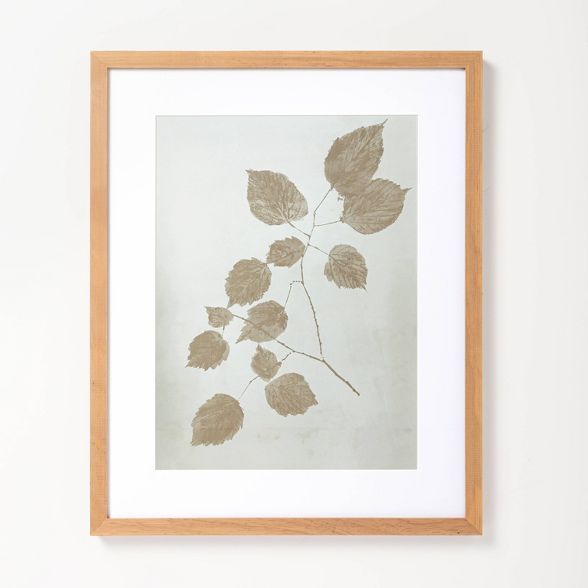 16" x 20" Botanical Stem Framed Wall Art - Hearth & Hand™ with Magnolia | Target