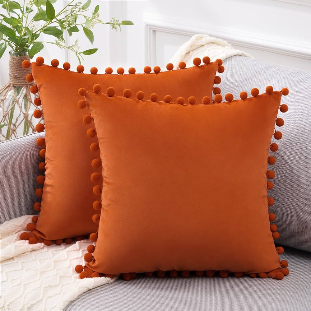 Top Finel Burnt Orange Pillow Covers 20x20 Inches Set of 2 Soft Velvet Decorative Throw Pillow Co... | Amazon (CA)