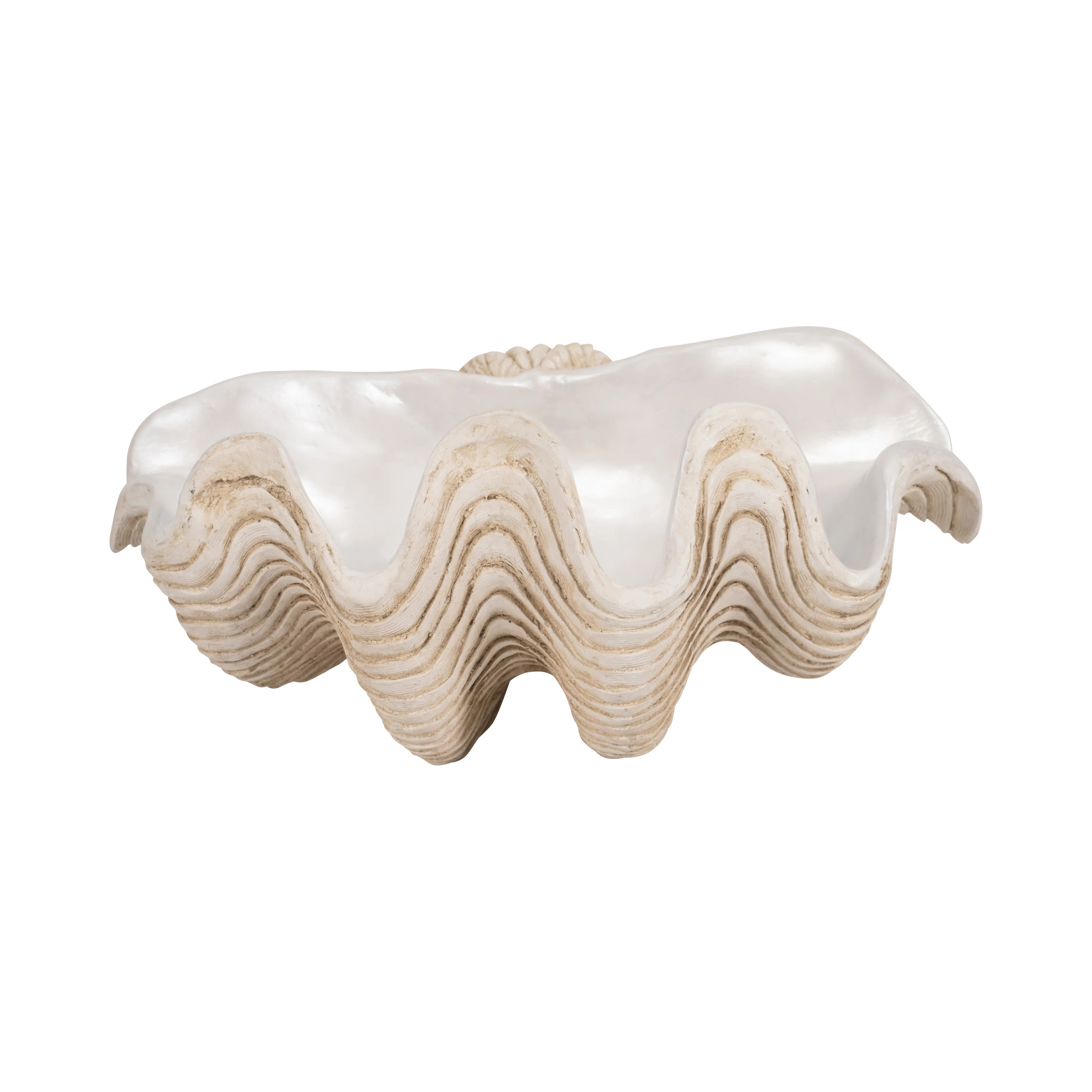 Pearlized Shell Bowl, Novelty | Wayfair North America