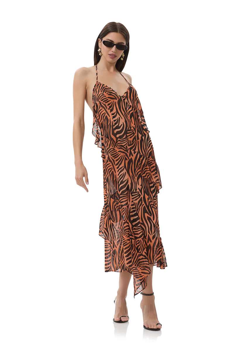 Ware Dress - Ombre Zebra | ShopAFRM