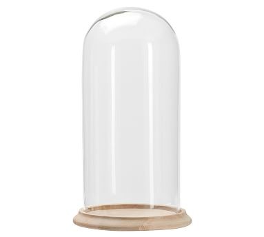 Wood Cloche, Seadrift - Large | Pottery Barn (US)