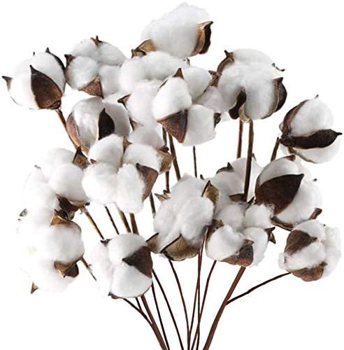 DomeStar Cotton Stems, Natural Dried Cotton 8 Packs Total 15 Bolls Cotton Sprigs Cotton Blooms Flora | Amazon (US)