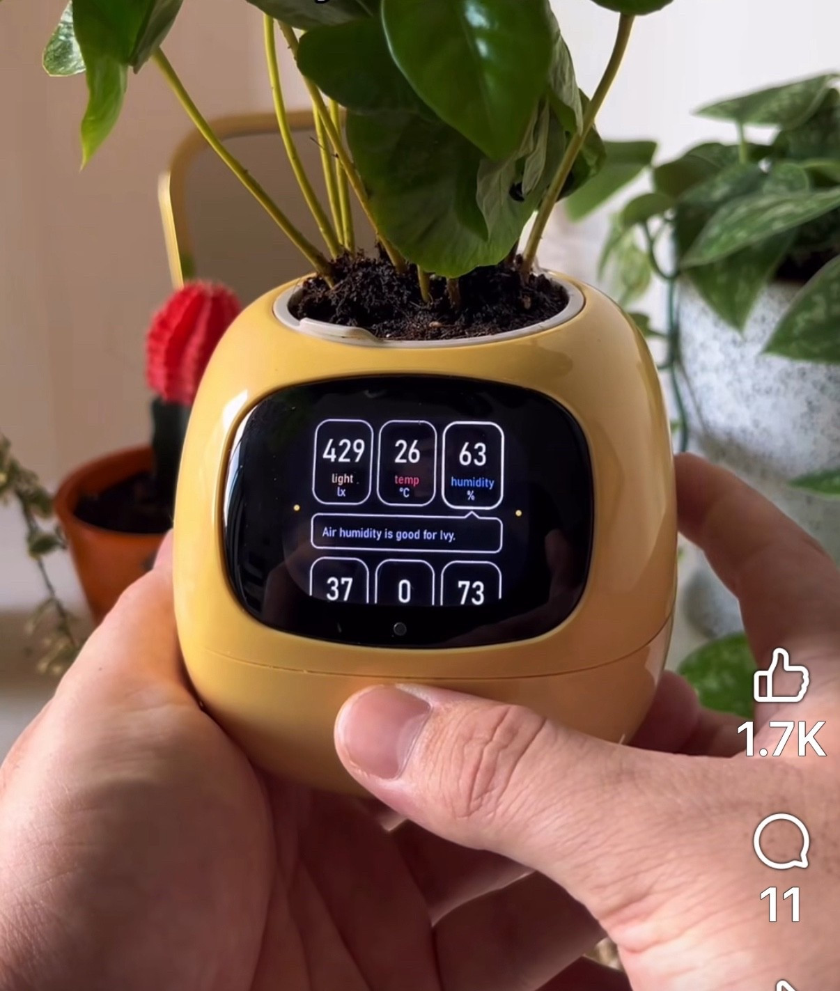 #planter #roboticplanter #plantogotchi #smartplant #indoorplant #interactiveplant #gift
