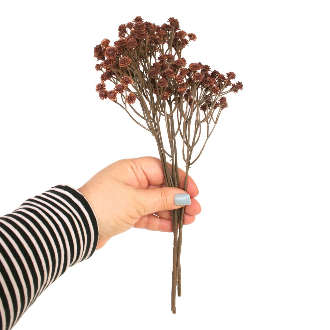 Brown Gypsophila Baby's Breath -3 Picks - PRE-ORDER - Etsy | Etsy (US)