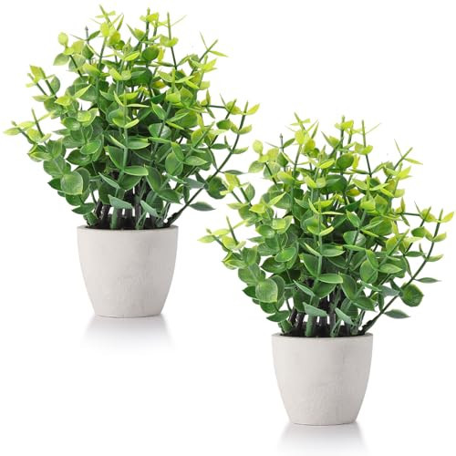 FAVOWREATH 2 Pack Fake Plants Ceramic Mini Artificial Greenery Potted Plants for Home Decor Office Decor Room Decor Farmhouse Decor Indoor Table Bathroom Decor | Amazon (US)