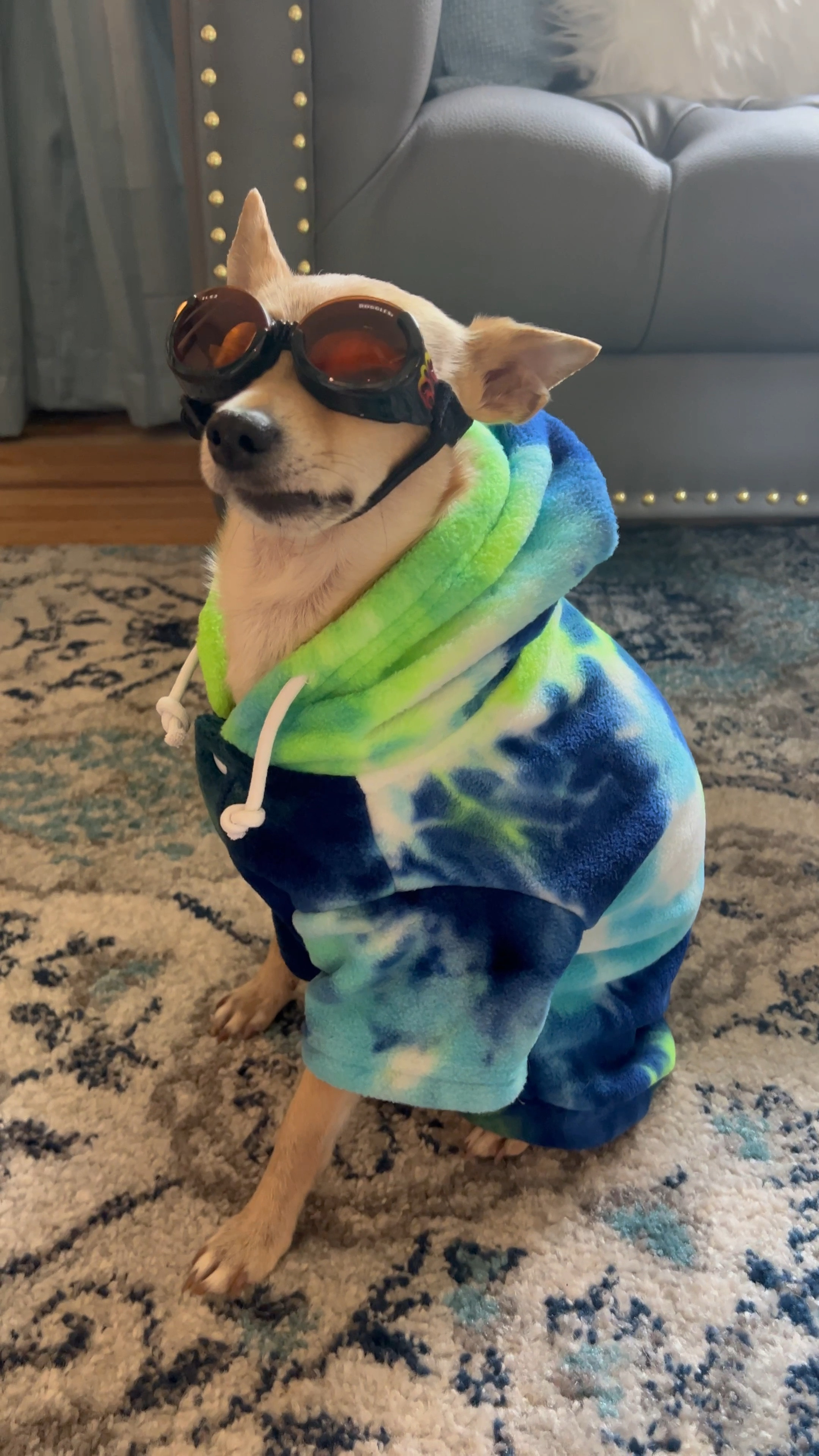 QWINEE Dog Coat Dog Hoodie Tie Dye Warm Winter Coat Sweatshirt Dog