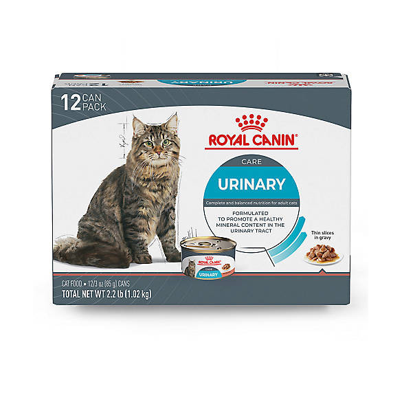 Royal Canin Feline Urinary Care Thin Slices in Gravy Wet Cat Food, 3 oz can, case of 12 | PetSmart