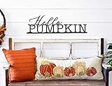 hello pumpkin, fall decor, wooden fall decor, hello pumpkin sign | Amazon (US)