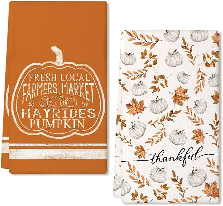 GEEORY Fall Kitchen Dish Towels Set of 2 for Fall Decor,Thankful Orange Printed Pumpkin 18x26 Inc... | Amazon (US)