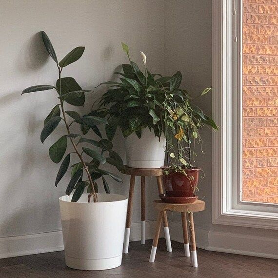 Modern Plant Stool Modern Plant Stand Three Leg Stool | Etsy | Etsy (US)