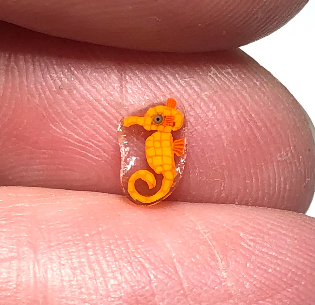 Seahorse v.2022 COE104 murrini chips | Etsy (Global)