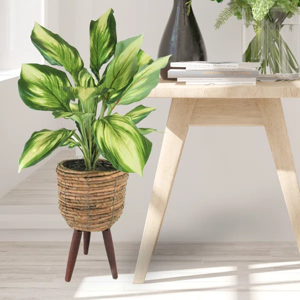 22" Artificial Foliage Plant In Basket | Wayfair North America