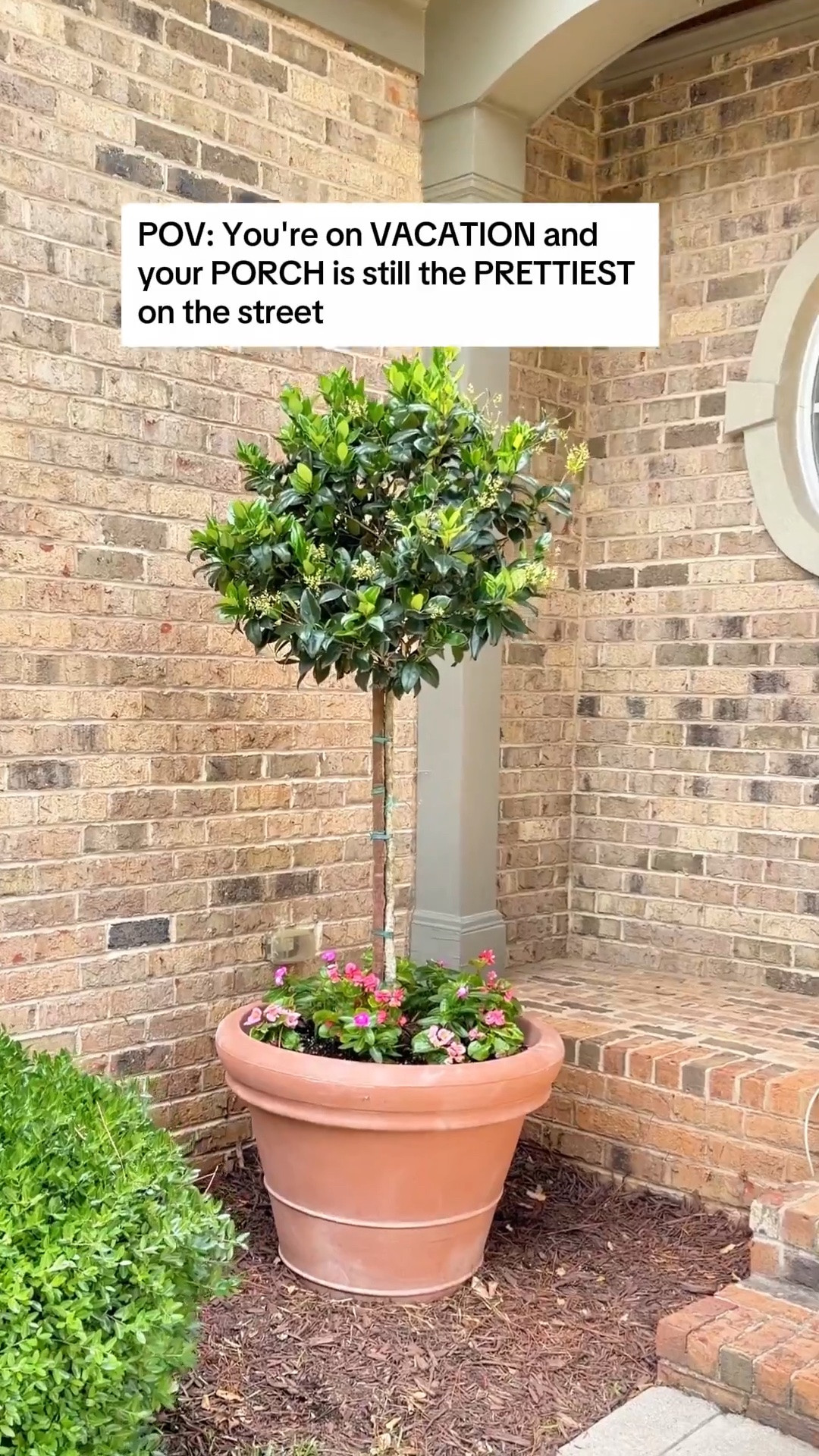#ad I used to come home to droopy, sad (sometimes dead) flowers after every trip and it just broke my heart a little every time. Then I found this drip irrigation kit @lowes  and honestly it eased my everyday anxiety.

🔨An easy DIY that takes less than 30 minutes to set up. Just attach it to your outdoor spigot, put in 2 AA batteries, set the automatic timer, and walk away. 

💦It waters your potted flowers every single morning like the most reliable little helper you've ever had! Everything is linked below: the drip irrigation system, the outdoor water timer (plus smart app controlled timer) and my pot. Your porch flower garden deserves to thrive even when you're not home. 🌺

#lowespartner #porchgoals #porchdaydreamer #dripirrigationsystem #automaticwatering #pottedflowers #porchflowers #outdoorplants #vacationready #easygardeningtips #containergardening #outdoorliving #summerporchdecor

#LTKSeasonal #LTKHome #LTKU