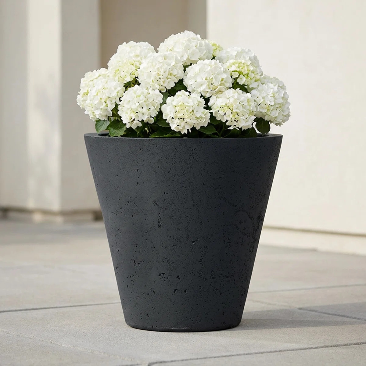 Jacey Self-Watering Concrete Texture Planter | Wayfair North America