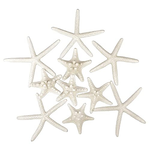 Jangostor 12 PCS Starfish 2-6 Inch Mixed Starfish Natural Seashells Starfish Star Fish Shells Decorations Perfect for Wedding Decor Beach Theme Party, Home Decorations, DIY Crafts, Fish Tank | Amazon (US)
