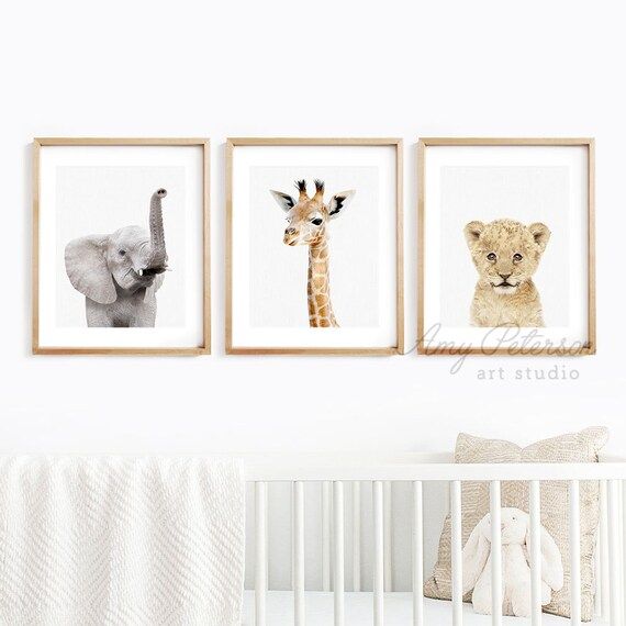 Baby Safari Animals Photos Print Set of 3, Nursery Wall Decor, Nursery Wall Art, Nursery Decor, K... | Etsy (US)