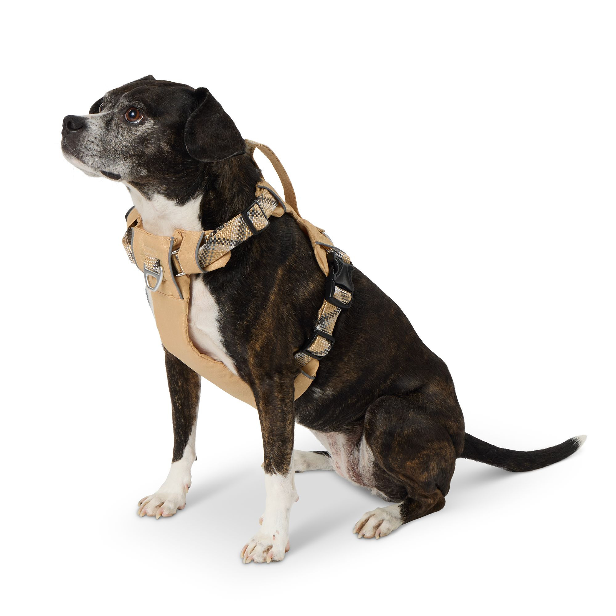 Arcadia Trail® Lightweight Reflective Dog Harness | PetSmart