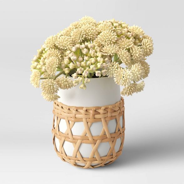 7" x 5" Artificial Flower Arrangement in Ceramic Pot Cream - Opalhouse™ | Target