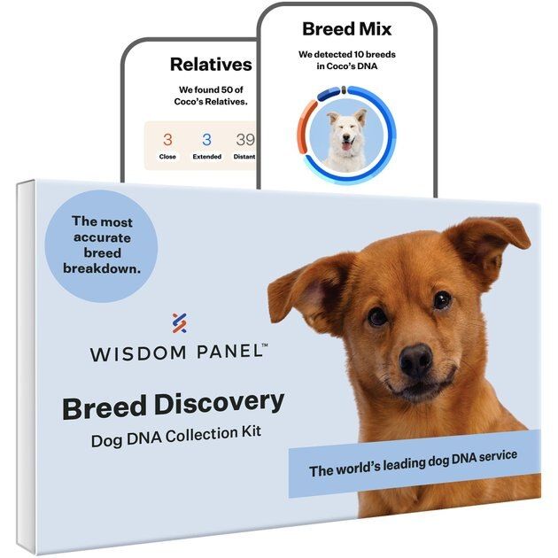WISDOM PANEL Breed Discovery Breed Identification DNA Test for Dogs - Chewy.com | Chewy.com