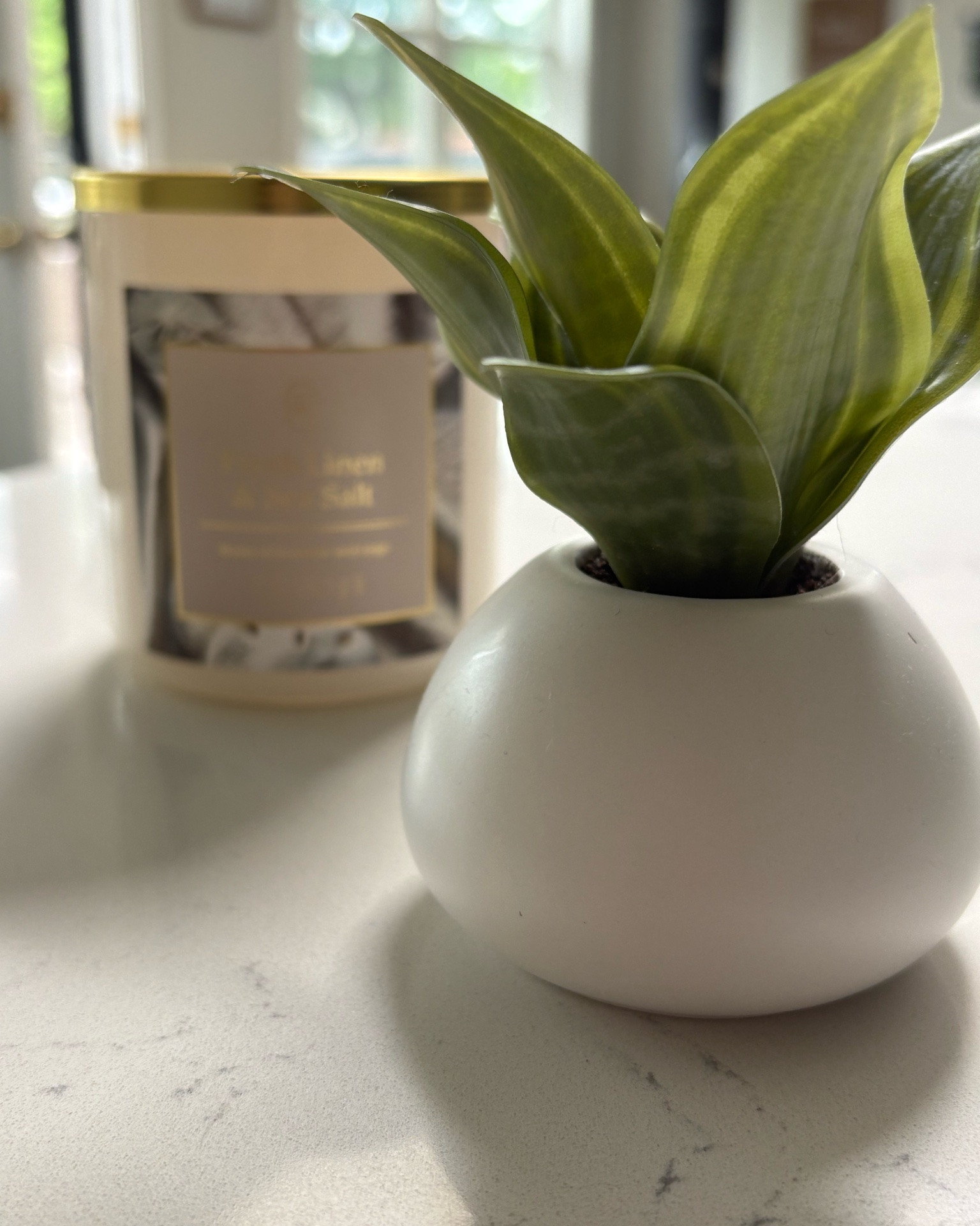 Mini artificial snake plant and sea salt and linen candle. Both by Threshold 

The candle is so light and clean! Not overpowering at all. The mini snake plant is so cute and the perfect little accent. On sale today for less than $5

#LTKSeasonal #LTKHome