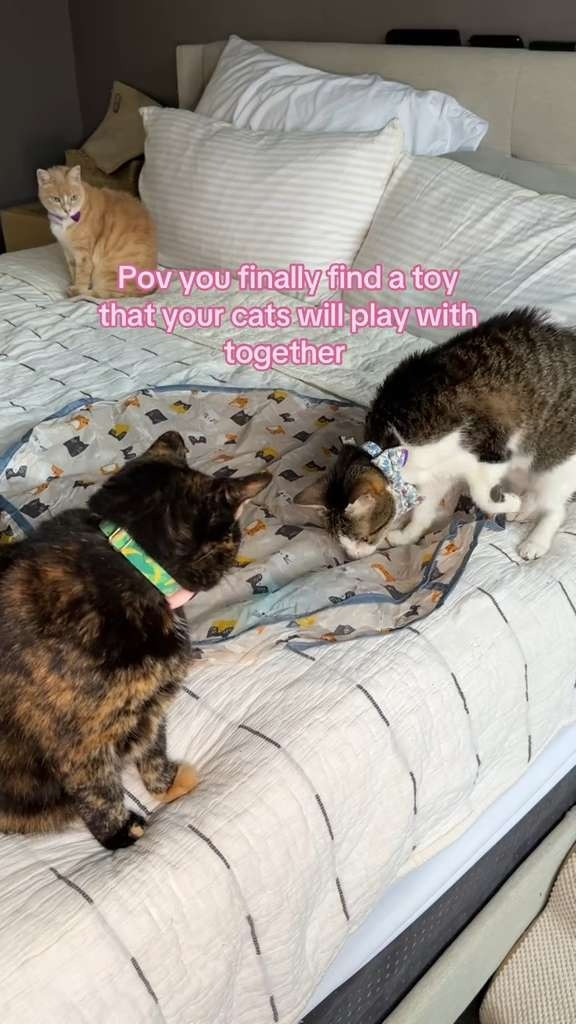 It's a miracle they're even standing that close to each other 

 #LTKSpringSale #LTKdayinmylife #LTKmomlife