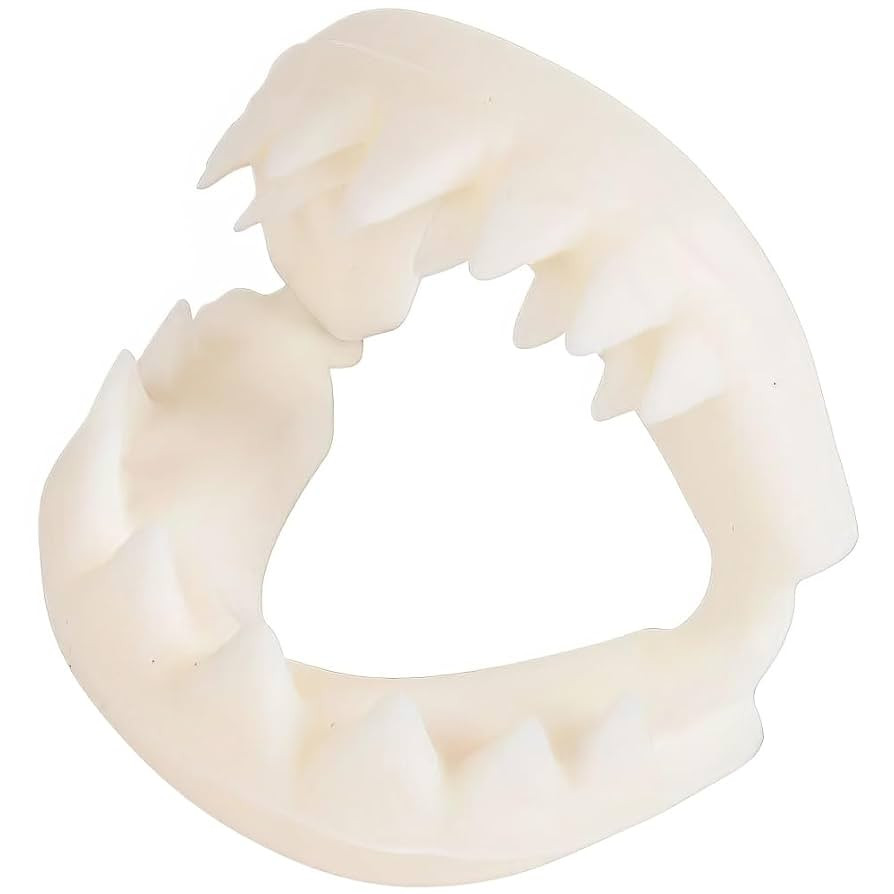 Rhode Island Novelty Great White Shark Teeth | Amazon (US)