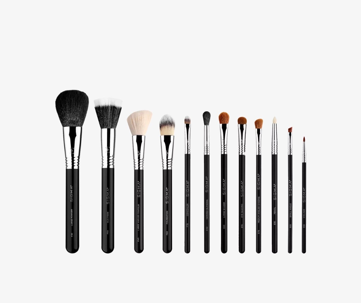 50% off this set today! Every brush you could need!  
Sigma Brushes are so good.  2 year warranty.  Worth every penny.  

#LTKOver40 #LTKBeauty