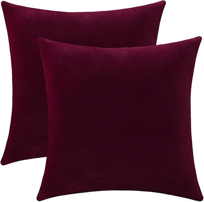 Jeneoo Set of 2 Comfy Soft Thick Velvet Throw Pillow Covers for Sofa Couch Decorative Solid Squar... | Amazon (US)