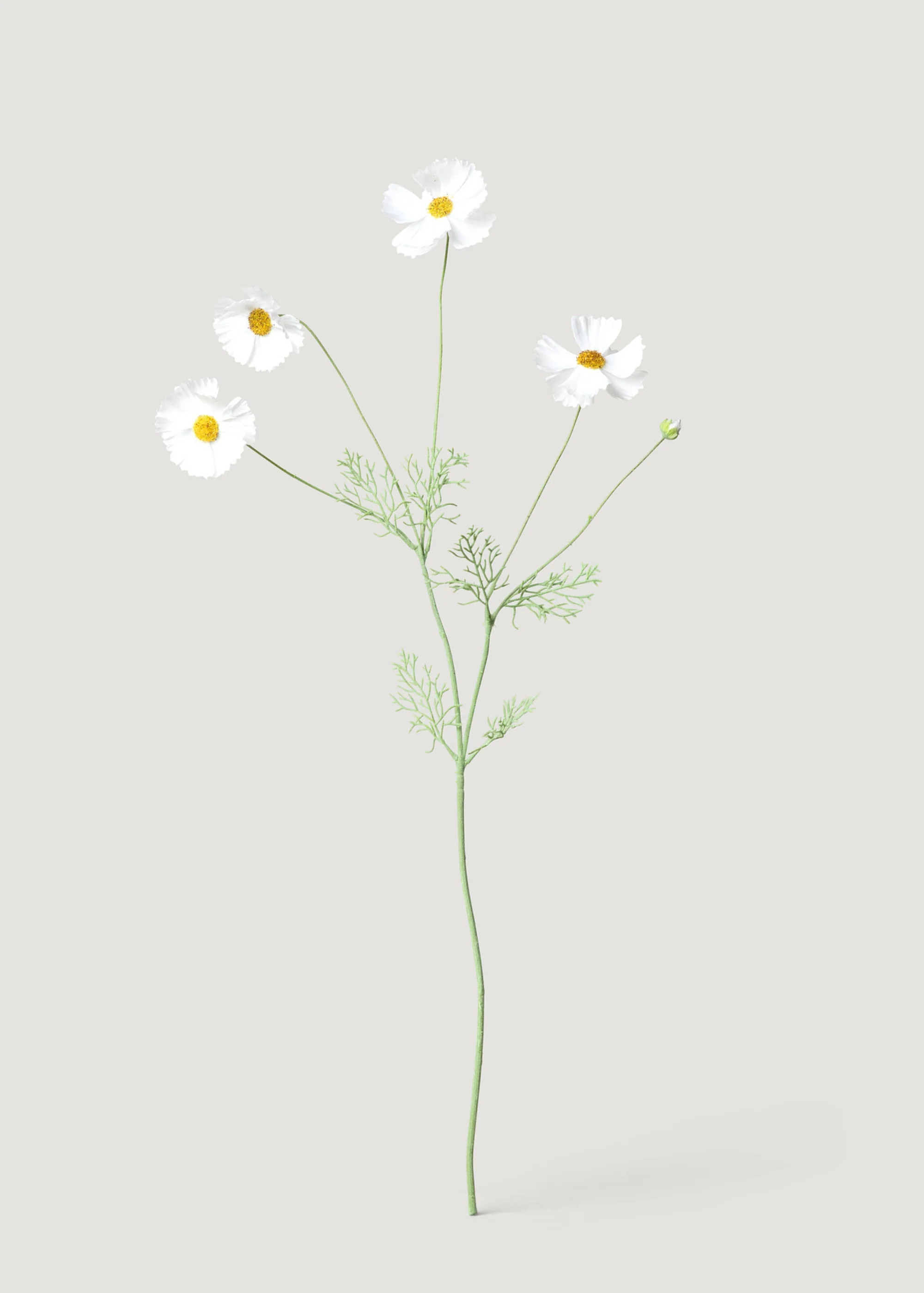 Fake Cosmos Daisy Wildflowers in White - 36.25 | Afloral