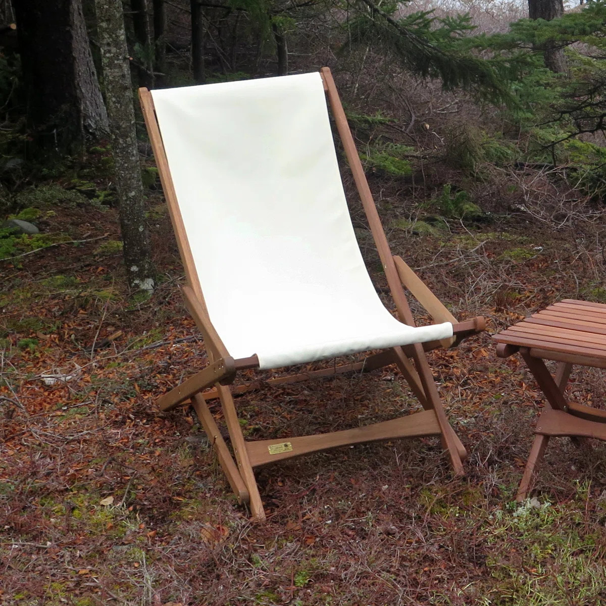 Damarion Folding Beach Chair | Wayfair North America