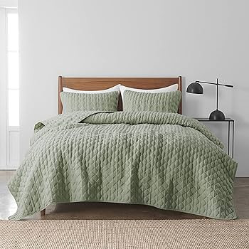 WDCOZY Sage Green Quilt Queen Size Bedding Sets with Pillow Shams, Lightweight Soft Bedspread Cov... | Amazon (US)