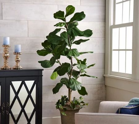 5' Faux Fiddle Leaf Tree in Starter Pot by Valerie | QVC