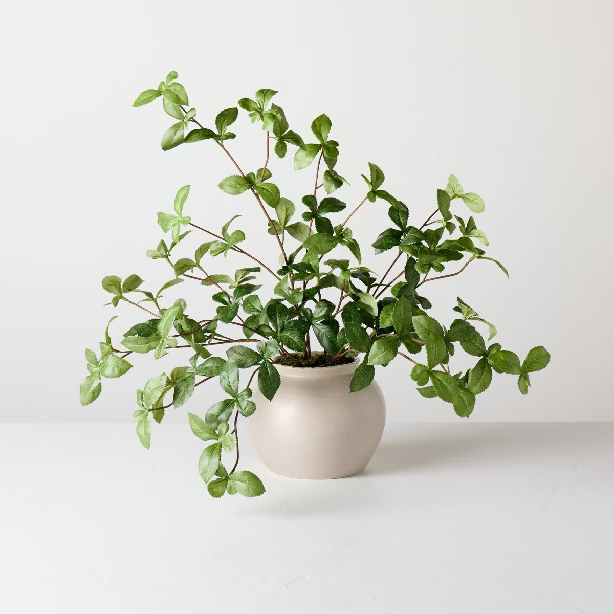 Large Green Gypsophila Artificial Plant - Hearth & Hand™ with Magnolia | Target