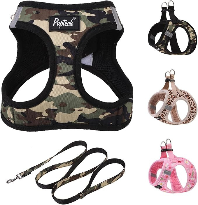 PUPTECK Dog Harness and Leash Set for Small Medium Dogs No Pull Step-in Soft Mesh Puppy Cat Vest ... | Amazon (US)