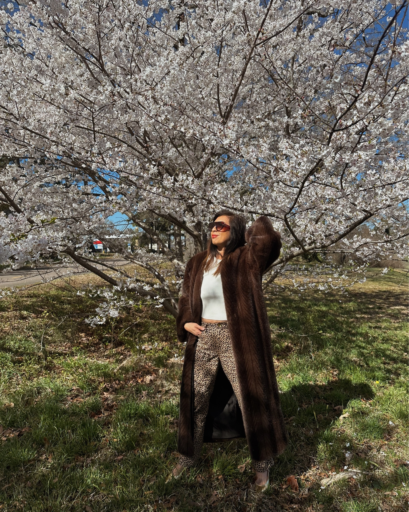 Faux fur and leopard print pants goes well with spring blossoms. 🐆

#LTKSeasonal #LTKOver40 #LTKPetite