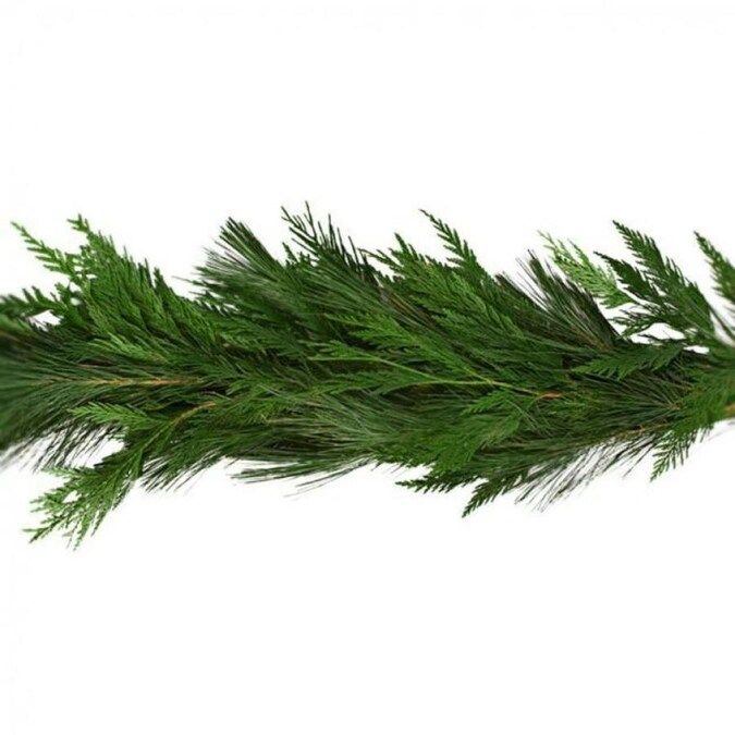 20-ft Fresh Cedar Christmas Garland Lowes.com | Lowe's