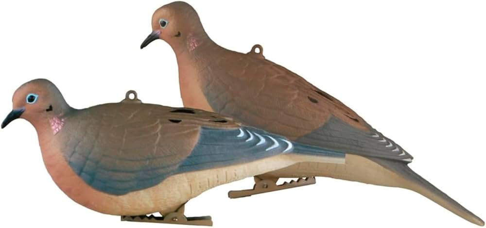 Avery GHG Mourning Dove Decoys | Resting & Perching Bird Combo, Realistic Lifelike Full-Body Ligh... | Amazon (US)